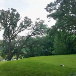 TBG Golf Event: Teeing Up for Safety